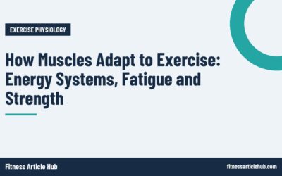 How Muscles Adapt to Exercise: Energy Systems, Fatigue and Strength
